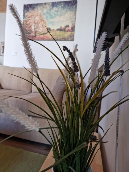 Gs Home Gíthio Kültér fotó